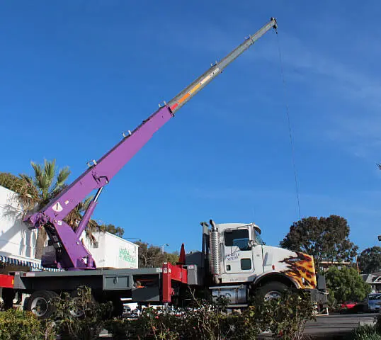 Orange, Los Angeles Tree Lifting Cranes